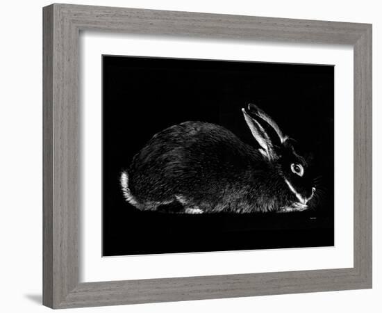 Rabbit-Geraldine Aikman-Framed Giclee Print