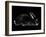 Rabbit-Geraldine Aikman-Framed Giclee Print