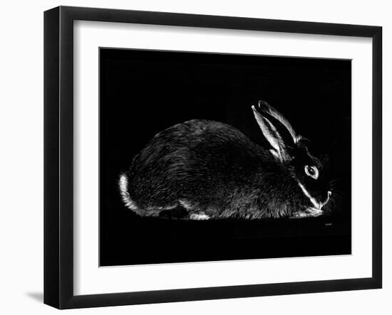 Rabbit-Geraldine Aikman-Framed Giclee Print