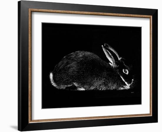 Rabbit-Geraldine Aikman-Framed Giclee Print