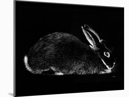 Rabbit-Geraldine Aikman-Mounted Giclee Print