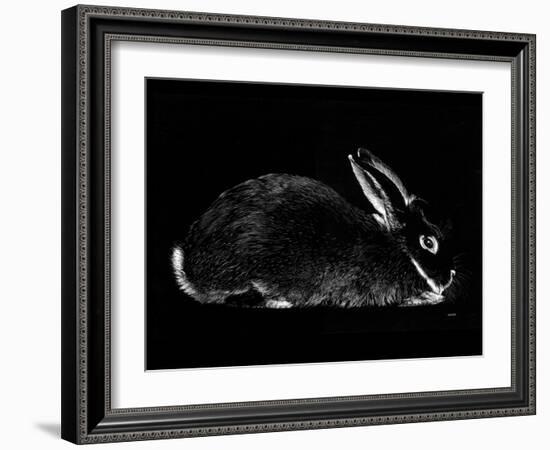 Rabbit-Geraldine Aikman-Framed Giclee Print