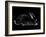 Rabbit-Geraldine Aikman-Framed Giclee Print