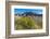 Rabbitbrush and Grasslands, Badland National Park, South Dakota-Howie Garber-Framed Photographic Print