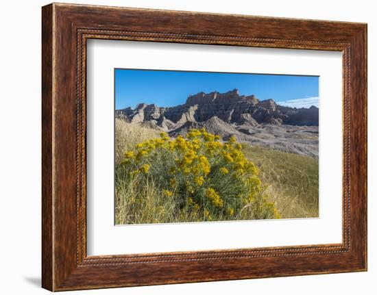 Rabbitbrush and Grasslands, Badland National Park, South Dakota-Howie Garber-Framed Photographic Print