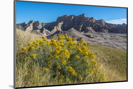 Rabbitbrush and Grasslands, Badland National Park, South Dakota-Howie Garber-Mounted Photographic Print