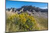 Rabbitbrush and Grasslands, Badland National Park, South Dakota-Howie Garber-Mounted Photographic Print