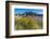 Rabbitbrush and Grasslands, Badland National Park, South Dakota-Howie Garber-Framed Photographic Print