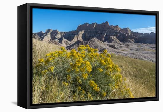 Rabbitbrush and Grasslands, Badland National Park, South Dakota-Howie Garber-Framed Premier Image Canvas