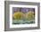 Rabbitbrush Outside of Moab, Utah-Howie Garber-Framed Photographic Print