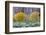 Rabbitbrush Outside of Moab, Utah-Howie Garber-Framed Photographic Print