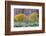 Rabbitbrush Outside of Moab, Utah-Howie Garber-Framed Photographic Print