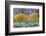 Rabbitbrush Outside of Moab, Utah-Howie Garber-Framed Photographic Print