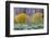 Rabbitbrush Outside of Moab, Utah-Howie Garber-Framed Photographic Print