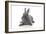 Rabbits 001-Andrea Mascitti-Framed Photographic Print