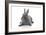 Rabbits 001-Andrea Mascitti-Framed Photographic Print