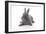 Rabbits 001-Andrea Mascitti-Framed Photographic Print