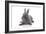 Rabbits 001-Andrea Mascitti-Framed Photographic Print