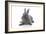 Rabbits 001-Andrea Mascitti-Framed Photographic Print