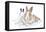 Rabbits 006-Andrea Mascitti-Framed Premier Image Canvas