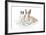 Rabbits 006-Andrea Mascitti-Framed Photographic Print