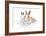 Rabbits 006-Andrea Mascitti-Framed Photographic Print