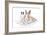 Rabbits 006-Andrea Mascitti-Framed Photographic Print