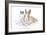 Rabbits 006-Andrea Mascitti-Framed Photographic Print