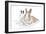 Rabbits 006-Andrea Mascitti-Framed Photographic Print