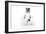 Rabbits 012-Andrea Mascitti-Framed Photographic Print