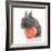 Rabbits 015-Andrea Mascitti-Framed Photographic Print