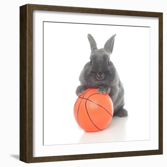 Rabbits 016-Andrea Mascitti-Framed Photographic Print