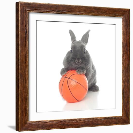 Rabbits 016-Andrea Mascitti-Framed Photographic Print