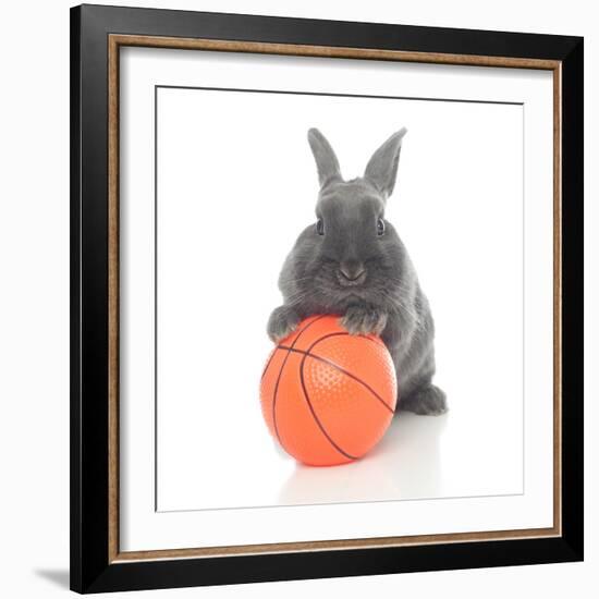 Rabbits 016-Andrea Mascitti-Framed Photographic Print