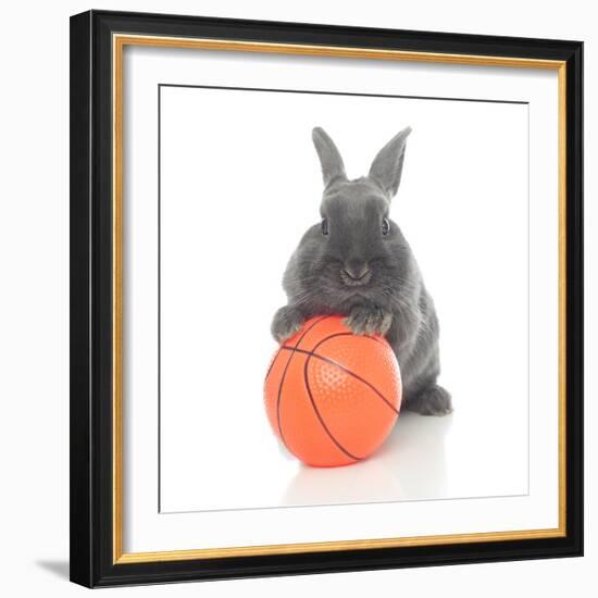 Rabbits 016-Andrea Mascitti-Framed Photographic Print