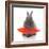 Rabbits 018-Andrea Mascitti-Framed Photographic Print