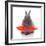 Rabbits 018-Andrea Mascitti-Framed Photographic Print