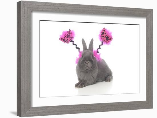 Rabbits 020-Andrea Mascitti-Framed Photographic Print