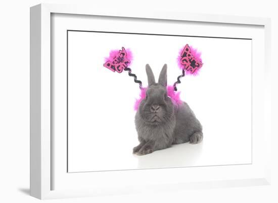 Rabbits 020-Andrea Mascitti-Framed Photographic Print