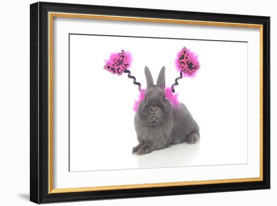 Rabbits 020-Andrea Mascitti-Framed Photographic Print