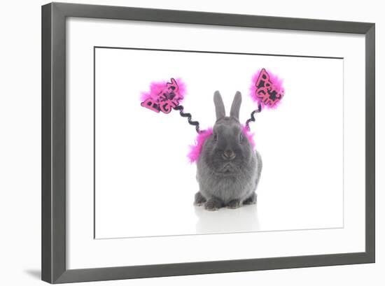 Rabbits 021-Andrea Mascitti-Framed Photographic Print