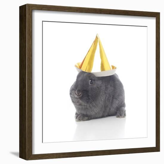 Rabbits 022-Andrea Mascitti-Framed Photographic Print