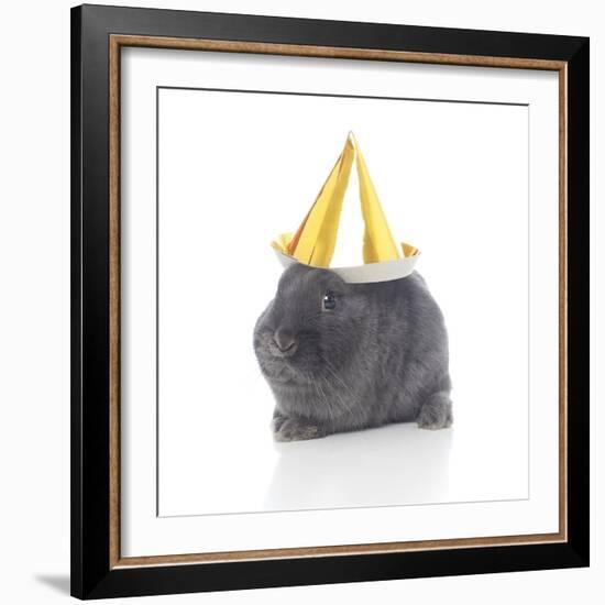 Rabbits 022-Andrea Mascitti-Framed Photographic Print