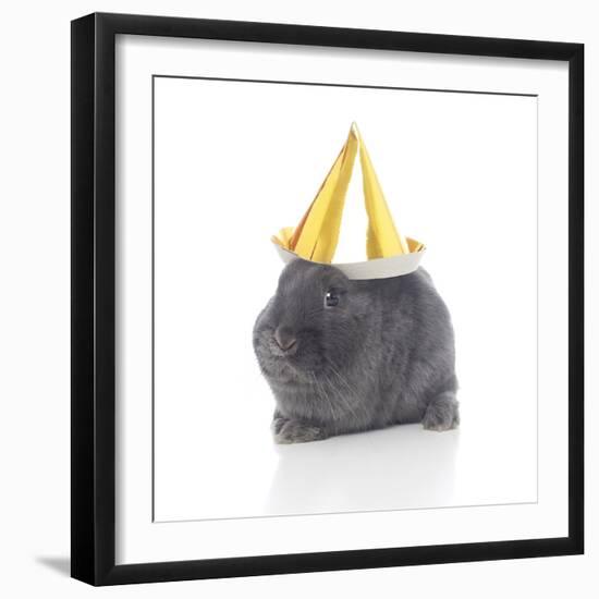 Rabbits 022-Andrea Mascitti-Framed Photographic Print