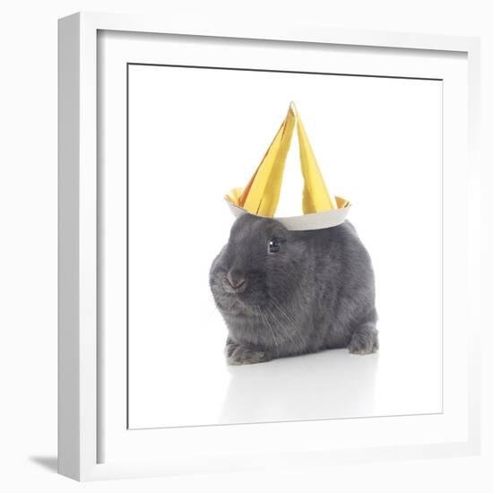 Rabbits 022-Andrea Mascitti-Framed Photographic Print