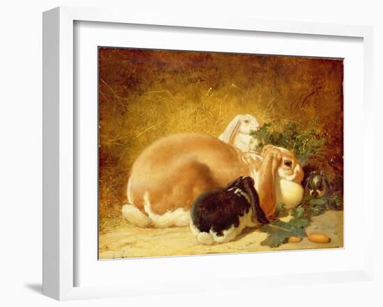 Rabbits, 1852-John Frederick Herring Jnr-Framed Giclee Print