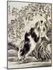 Rabbits Catching a Lizard-Kyosai Kawanabe-Mounted Giclee Print