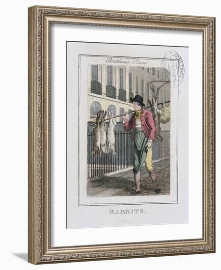 Rabbits, Cries of London, 1804-William Marshall Craig-Framed Giclee Print