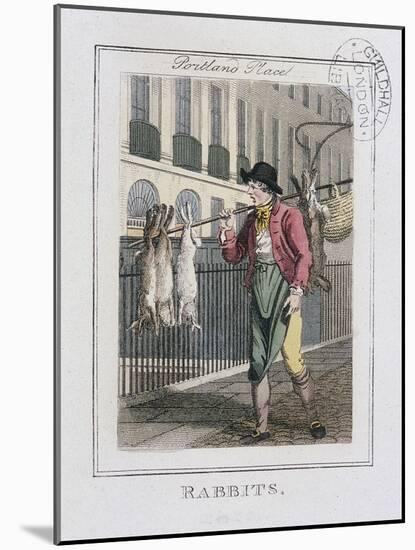 Rabbits, Cries of London, 1804-William Marshall Craig-Mounted Giclee Print