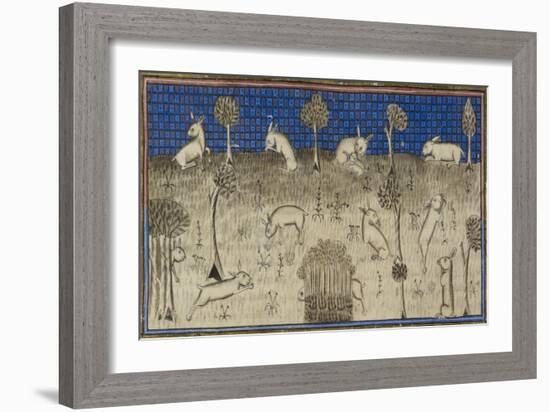 Rabbits Feeding and Moving About-Febus de Foiz-Framed Giclee Print